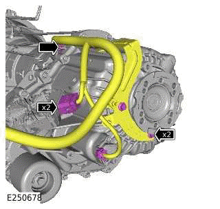 Transfer Case - Removal